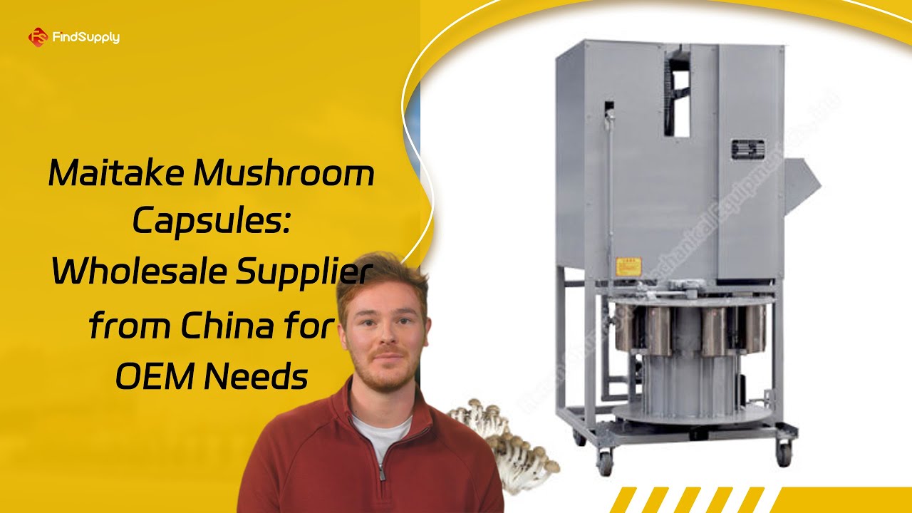 Maitake Mushroom Capsules: Wholesale Supplier from China for OEM Needs