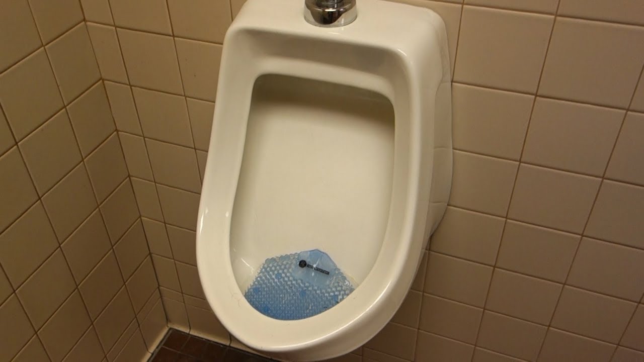 Туалетный тур: кинотеатр Carmike Cinemas, торговый центр Chambersburg Mall, Chambersburg, PA