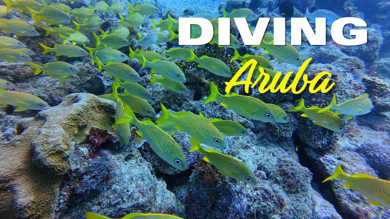 Scuba Diving Aruba shipwreck and reefs