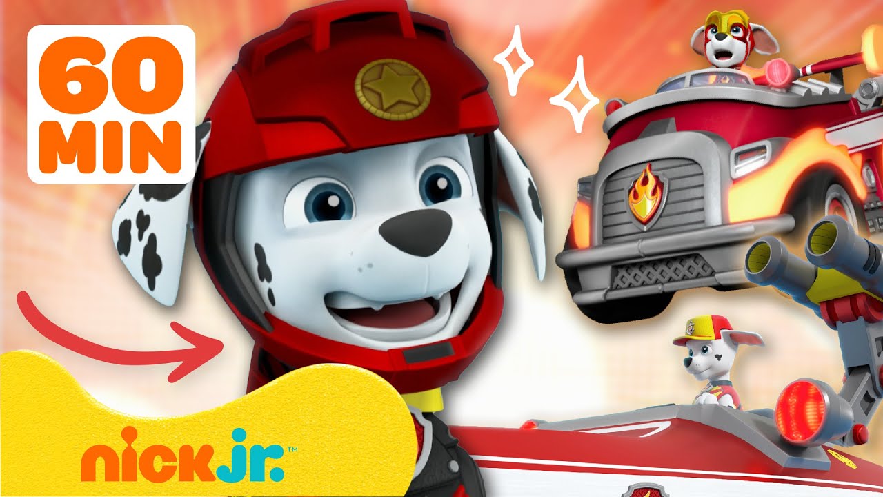 Paw Patrol - La Squadra dei Cuccioli | Le più grandi missioni di Marshall! | 1 ora | Nick Jr. Italia