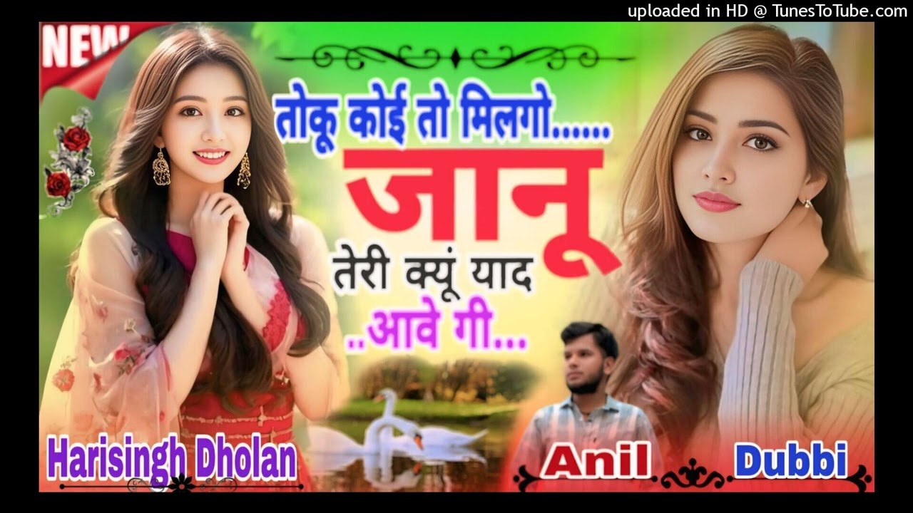 dj_remix !! तोकू कोई तो मिल गो जानू मेरी क्यूं याद आवेगी (HARISINGH DHOLAN) REMIXER ANIL DUBBI 2K26
