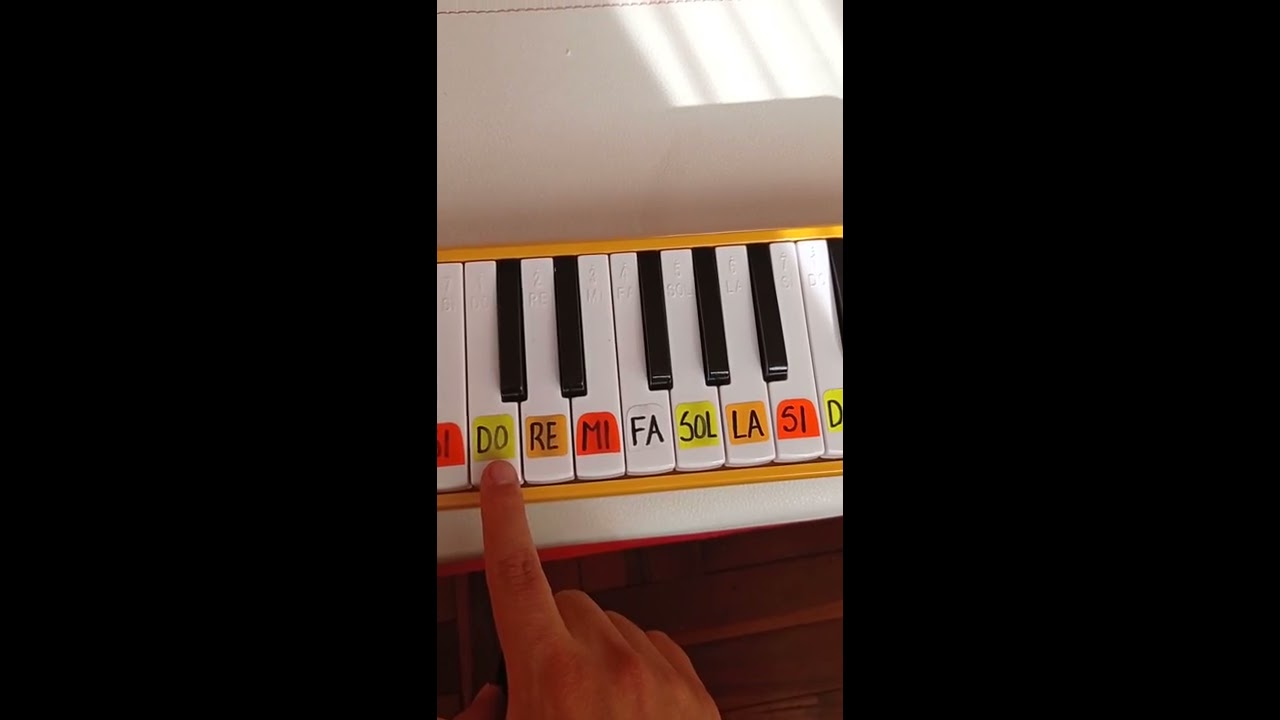 CANCIÓN 