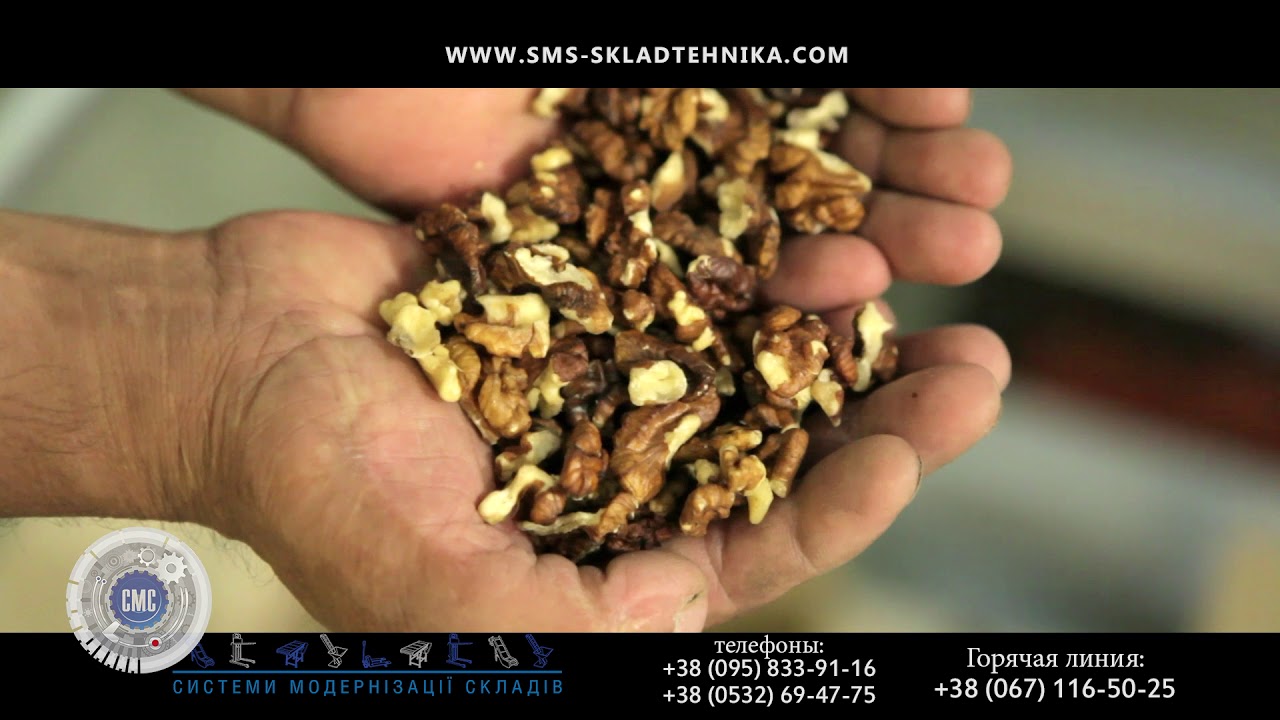Оборудование для переработки грецкого ореха / Equipment for processing of walnuts