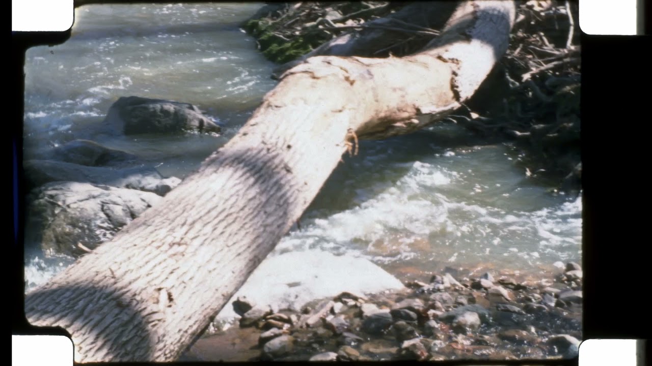 A day at the river- 16mm magazine- new ektachrome 100D