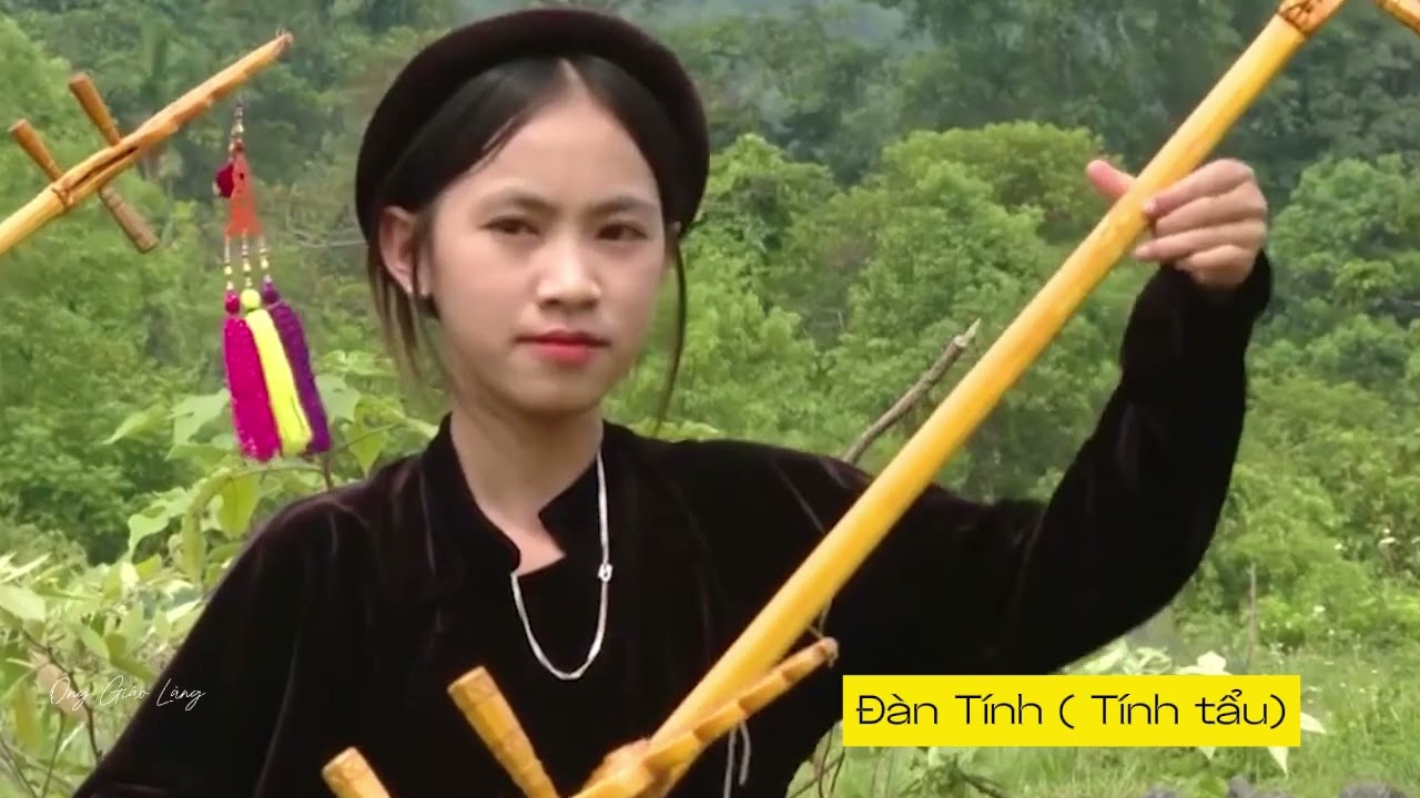 ĐÀN NGUYỆT VÀ ĐÀN TÍNH_TTAN LỚP 8: (CHỦ ĐỀ 7) KẾT NỐI TT & CS