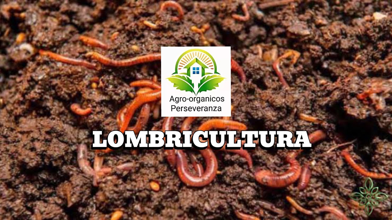 LOMBRICULTURA de Agro-orgánicos perseveranza