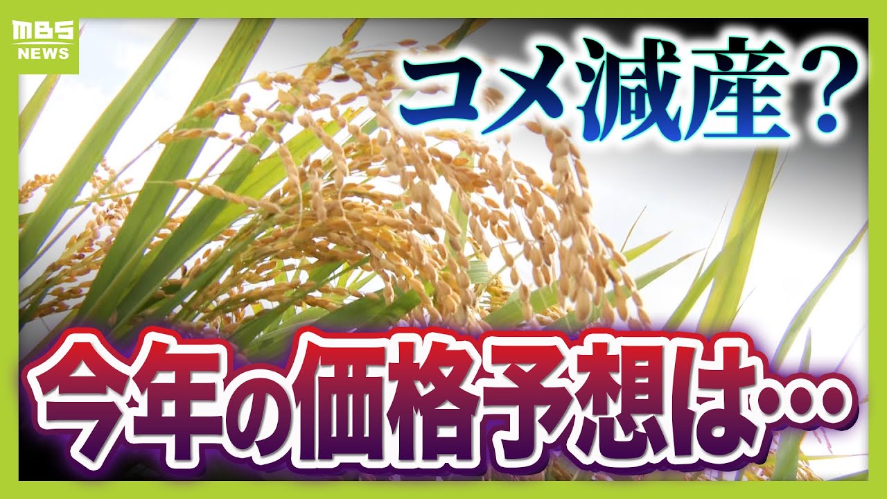 【なぜ】今年のコメは&ldquo;高止まり&rdquo;でも減産？一時の増産機運と買い控えで大量に余るコメ　専門家３人の見通し「価格は落ち着いていくはず」（2026年1月7日）
