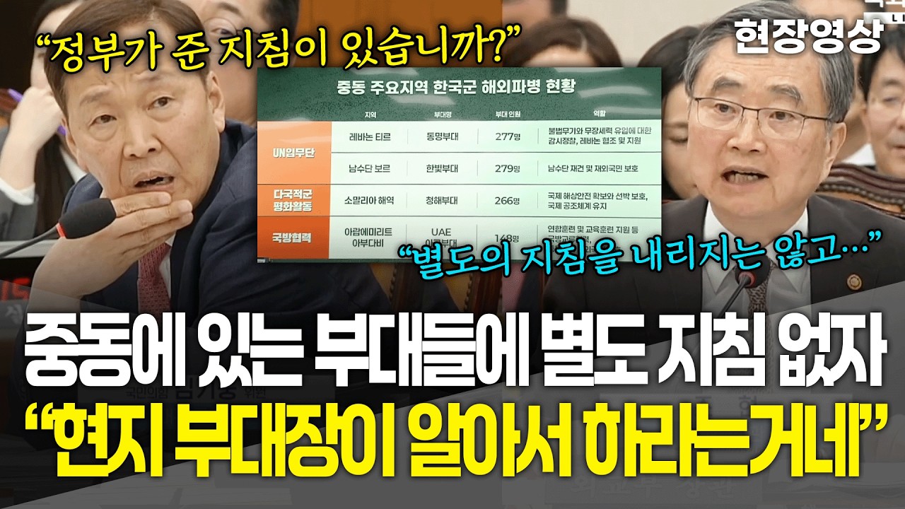 [현장영상] 중동에 있는 우리나라 부대들에 별도 지침 없자.. 김기웅 
