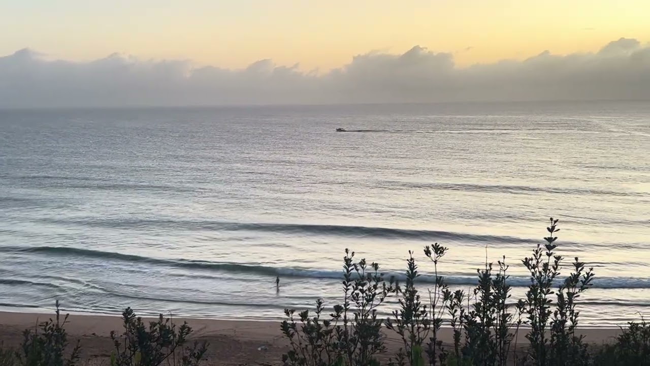 24.02.2026 Sydney Surf Report Warriewood Beach Australia