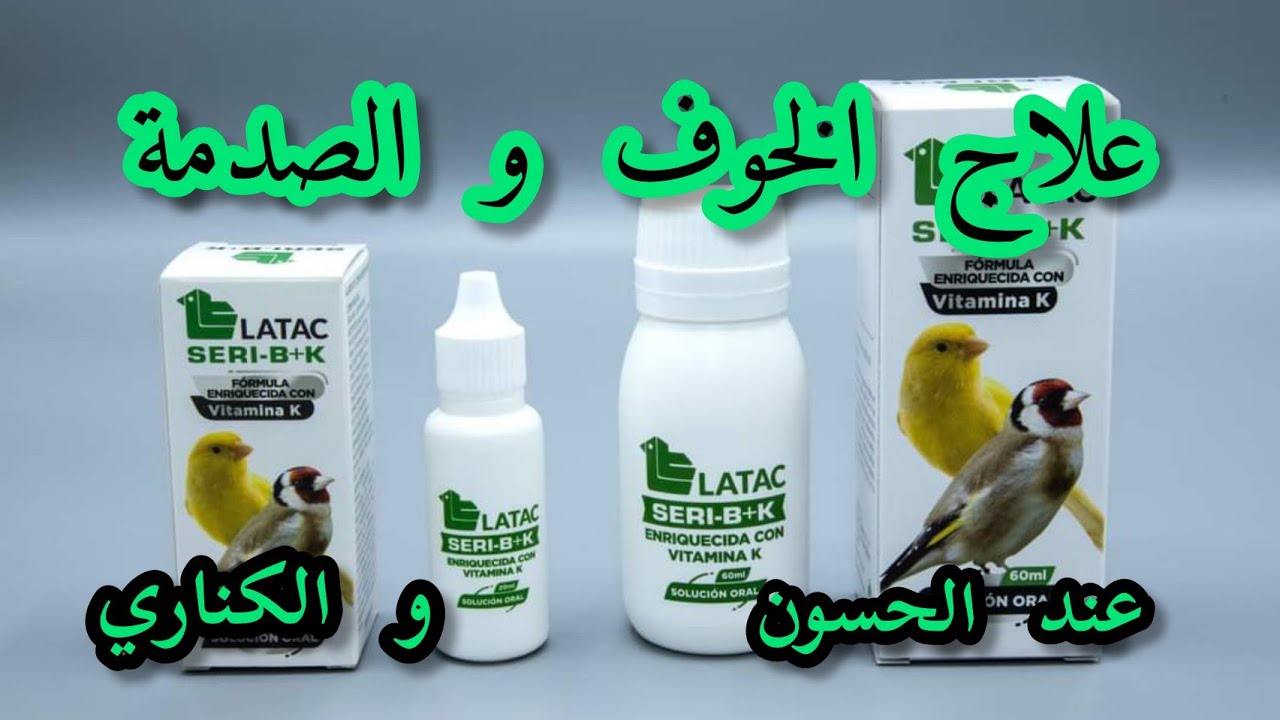 علاج الخوف و الصدمة عند الحسون و الكناري LATAC SERI B+K