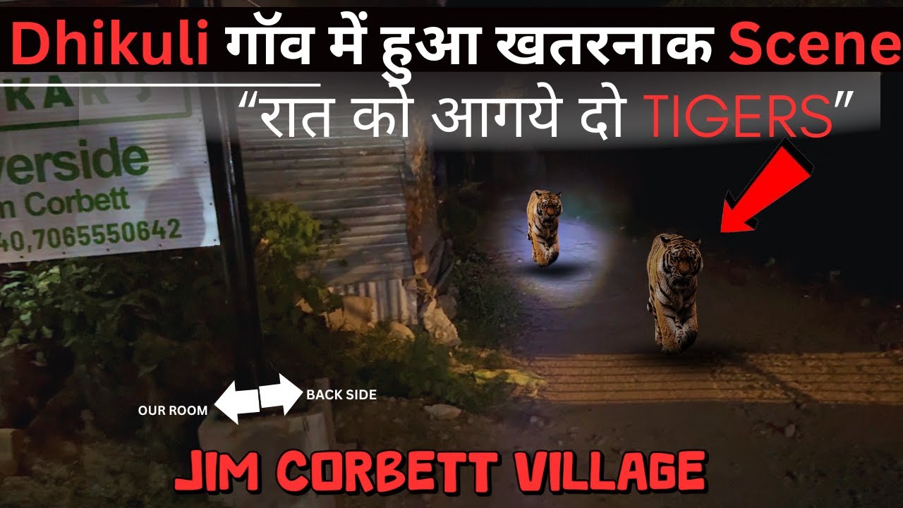 Jungle में रात का होश उड़ने वाला Scene | Dhikuli Village | Jim Corbett
