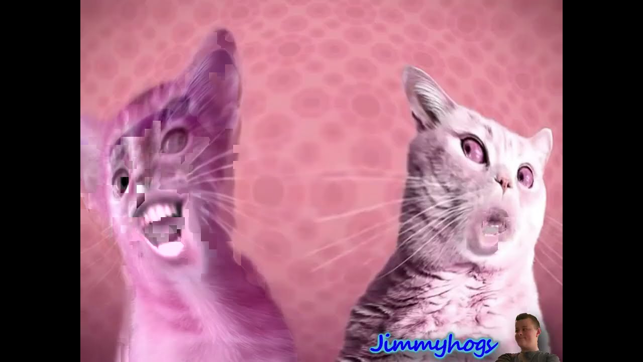 Preview 2 Numa Cat Effects 3