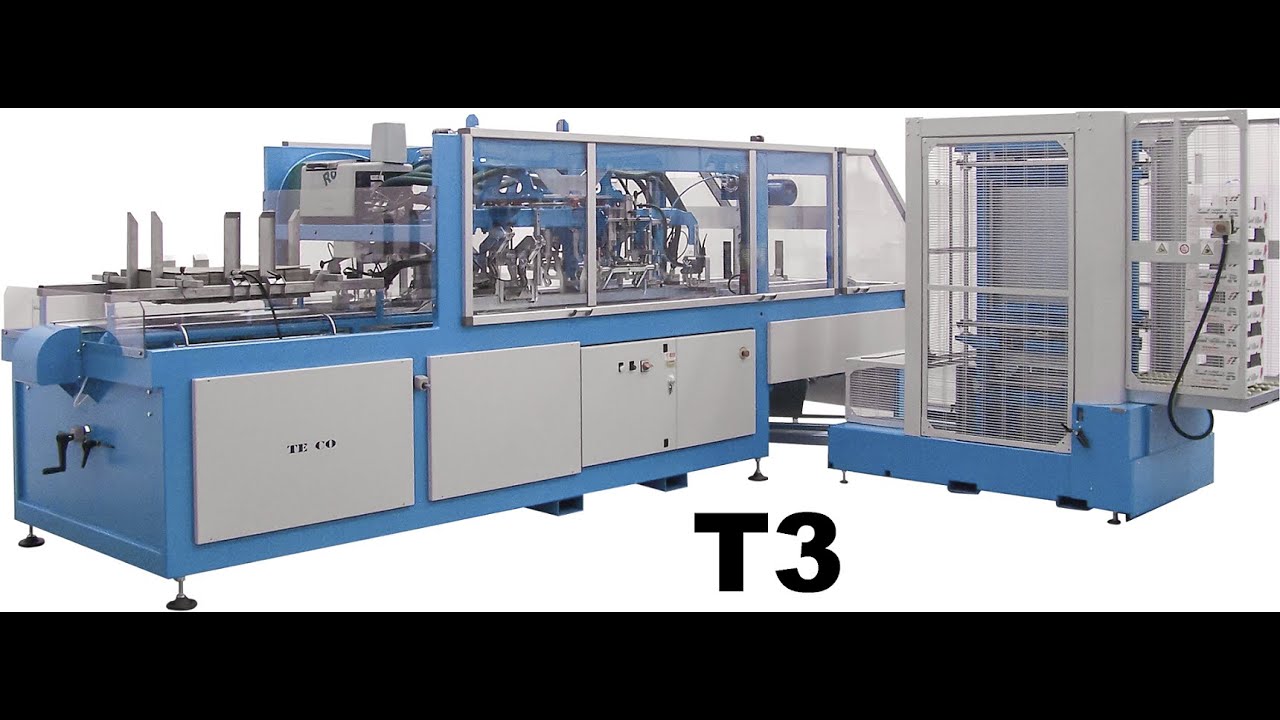 T3