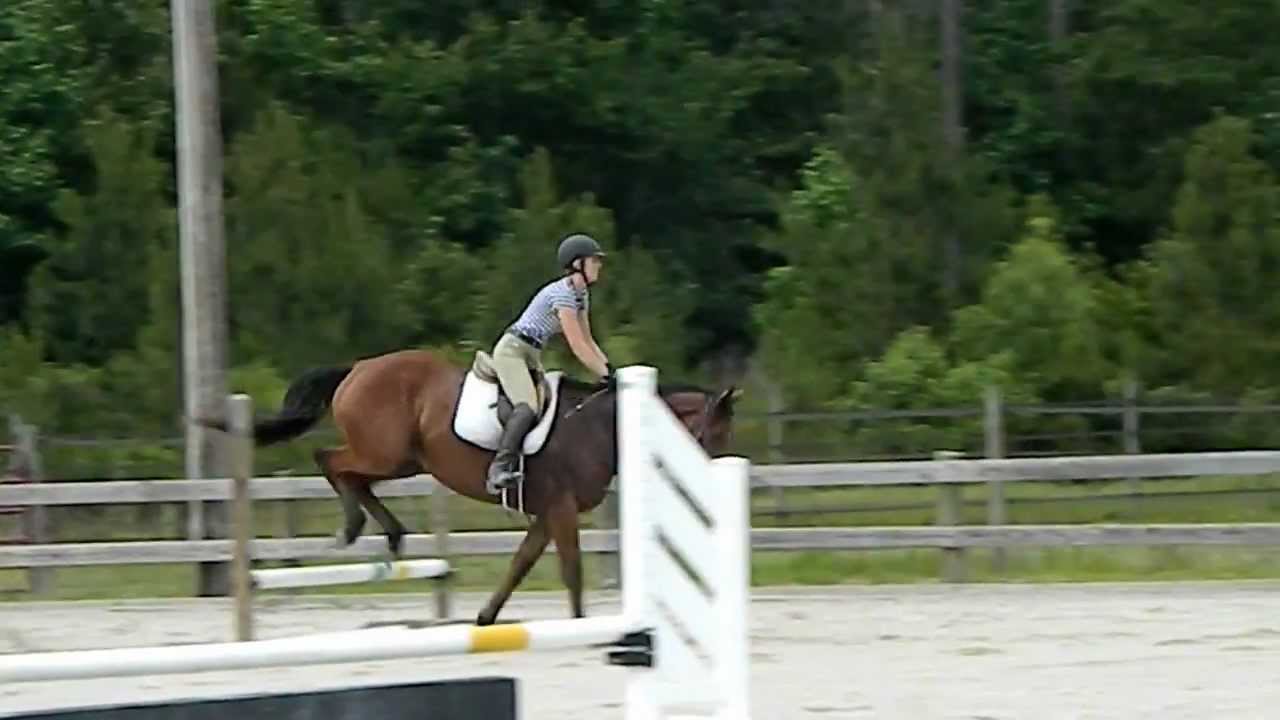 My Five-Year-Old Thoroughbred Hunter in Training