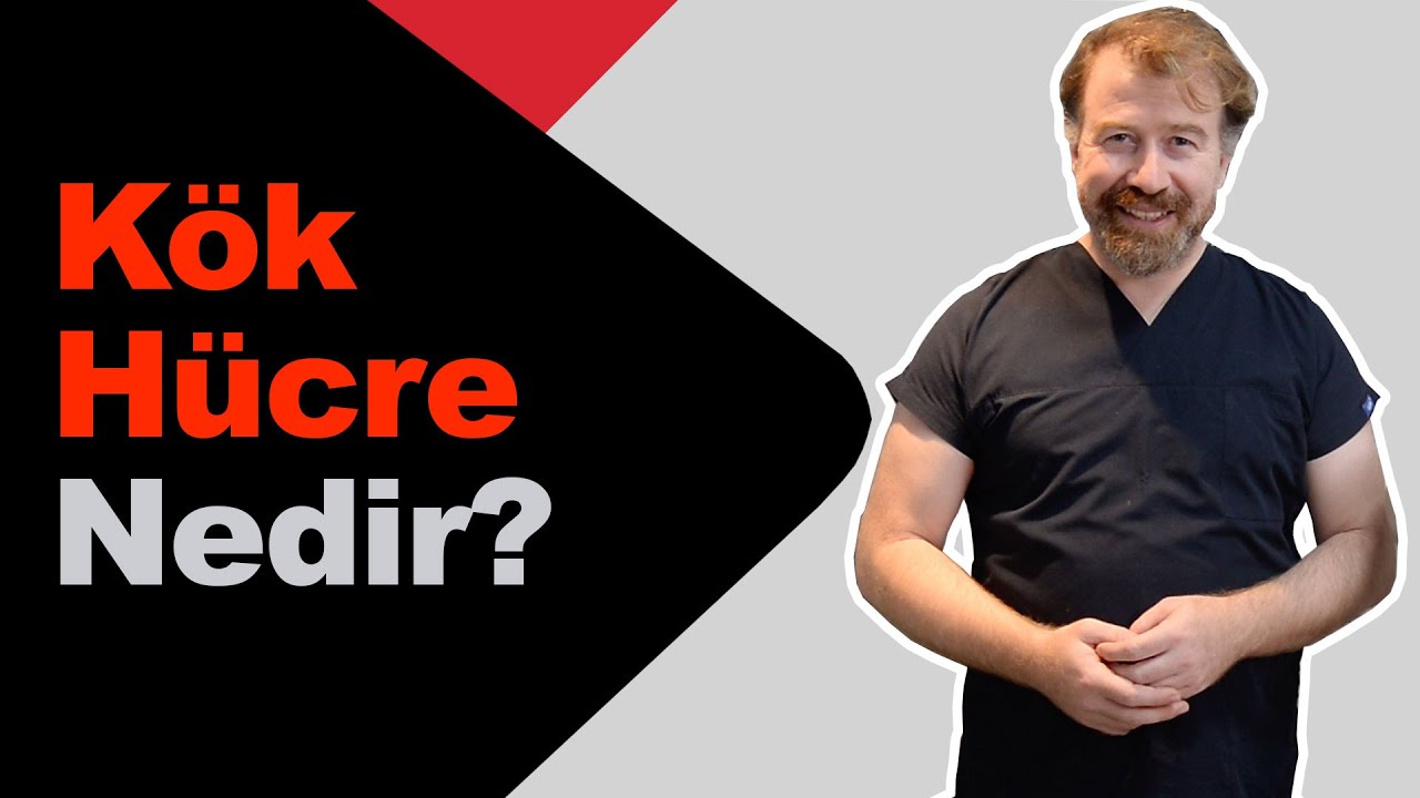 Kök Hücre nedir?