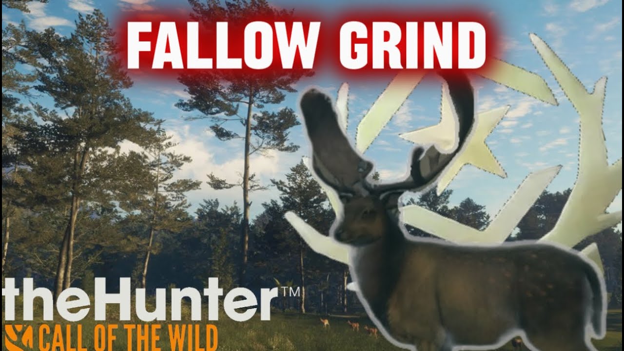 648 kills into the fallow grind!!!!!!