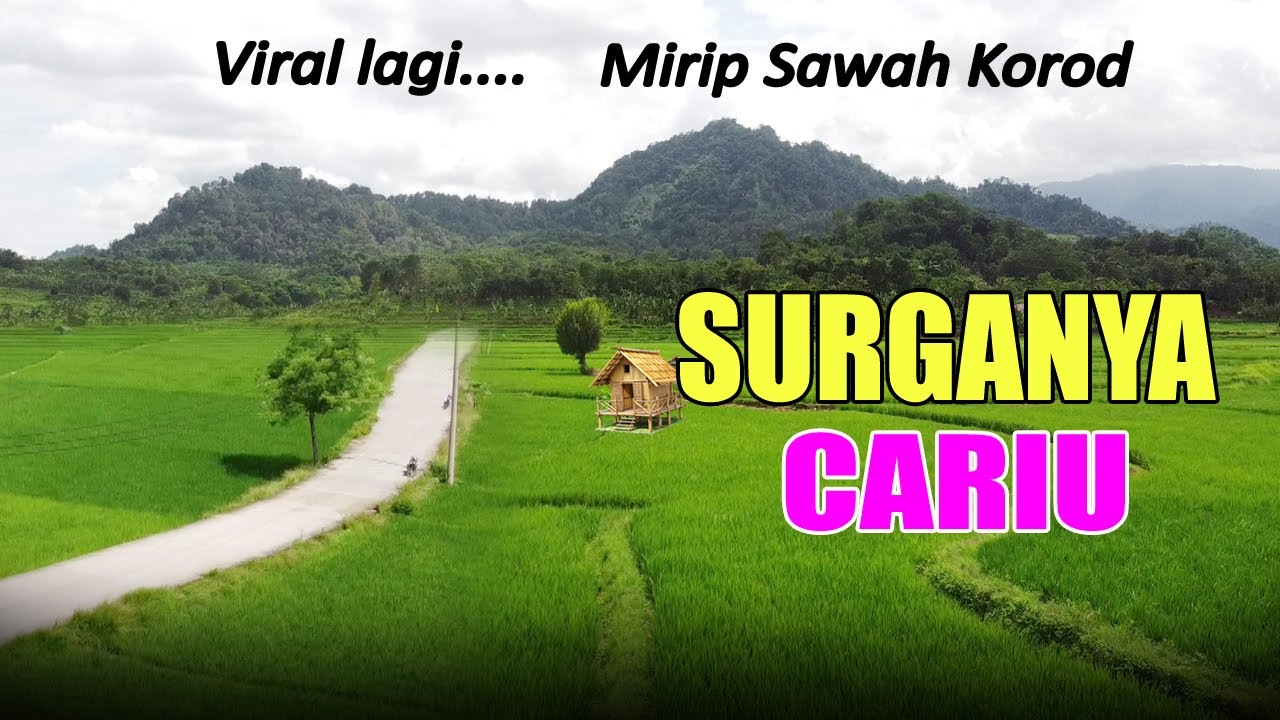 SURGANYA CARIU ‼️ View Pemandangan Alamnya Bikin Betah