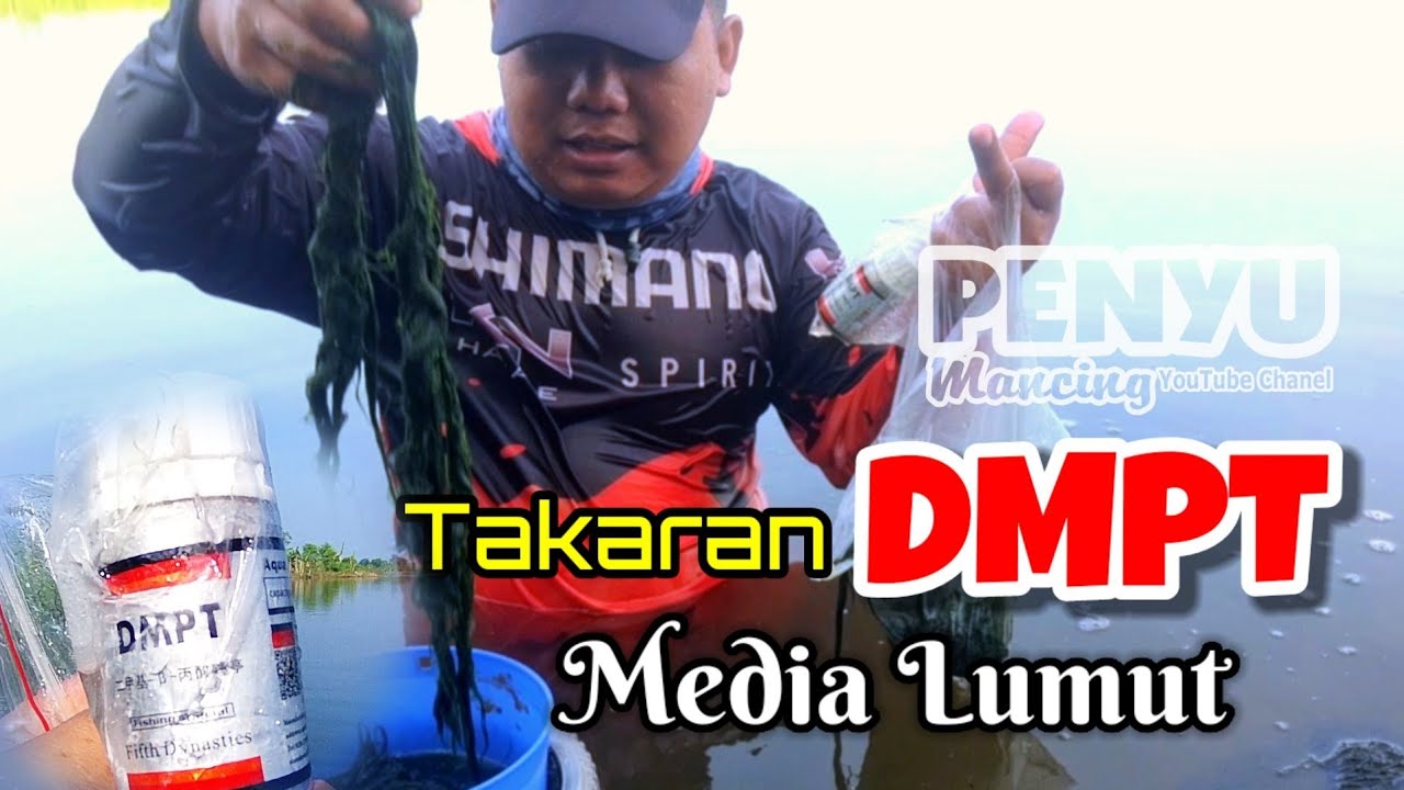 CARA PAKAI UMPAN DMPT MEDIA LUMUT || TARGET IKAN NILA DI WADUK DUKUH AGUNG