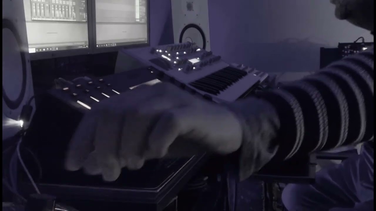 PETZOO-ALL IS DONE