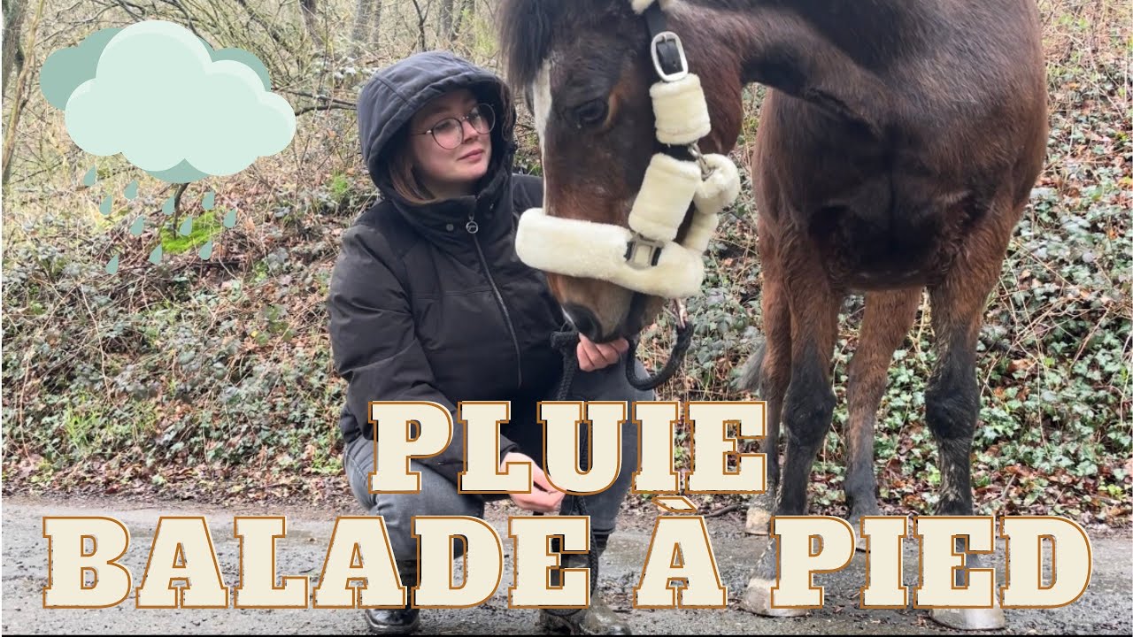 Journée pluvieuse = balade heureuse ☔️❤️
