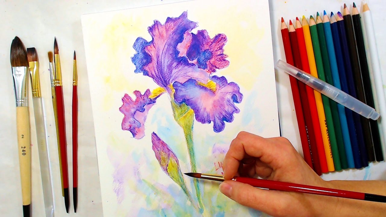 Iris Watercolor Pencil Drawing and Painting Tutorial // December Smart Art Box