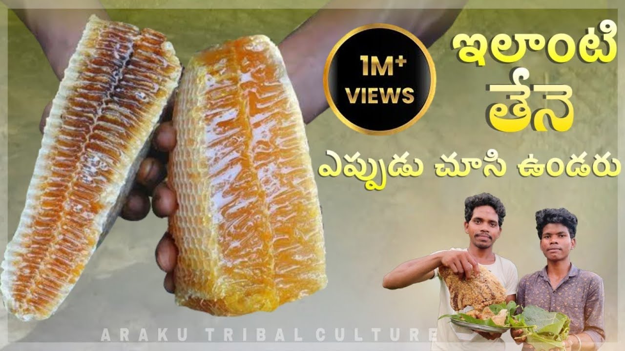 జుంటితేనెలో ఇది రెండో రకం | Wild honey harvesting by Tribes | Araku