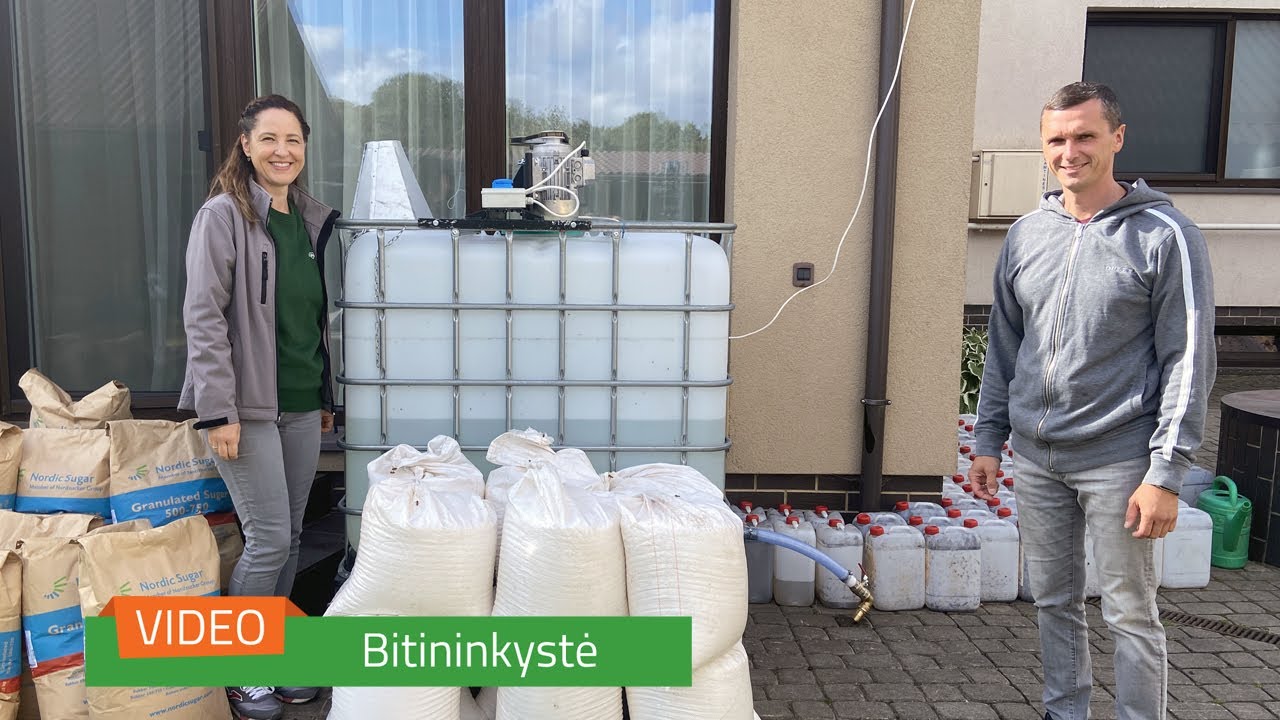 Bičių maitinimas. Kaip pasigaminti cukraus sirupą?