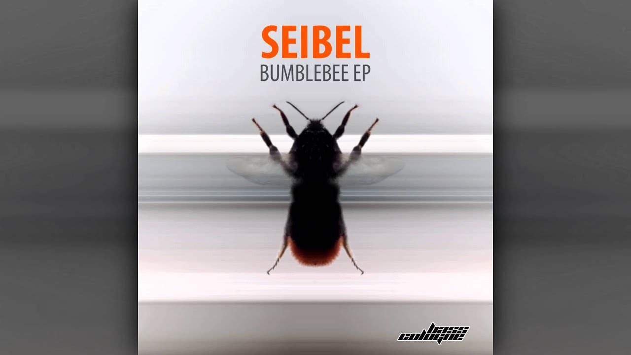 Seibel - Armata