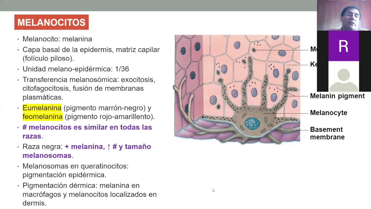 MEDICINA III  Trastornos pigmentarios I II