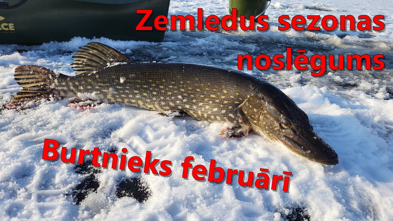 Zemledus copes sezonas noslēgums. Patīkams nobeigums.
