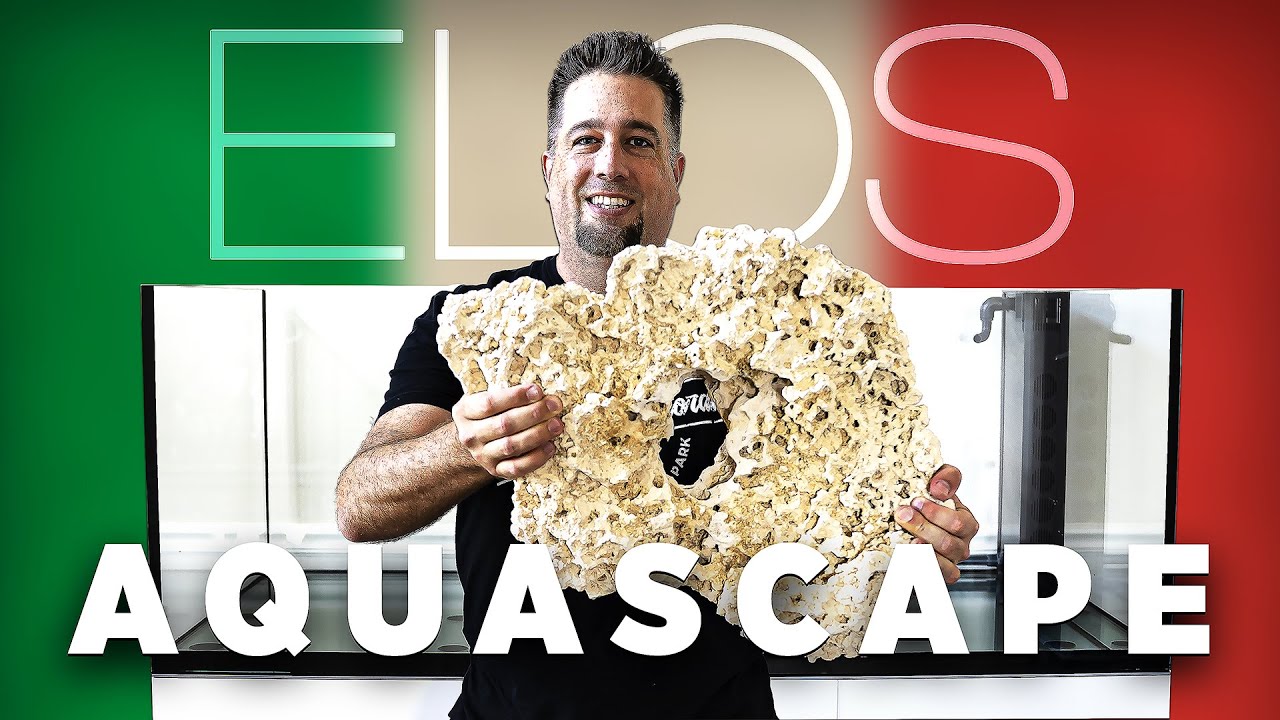 Marco Rocks Aquascape For The ELOS Dream Reef (Episode 2)