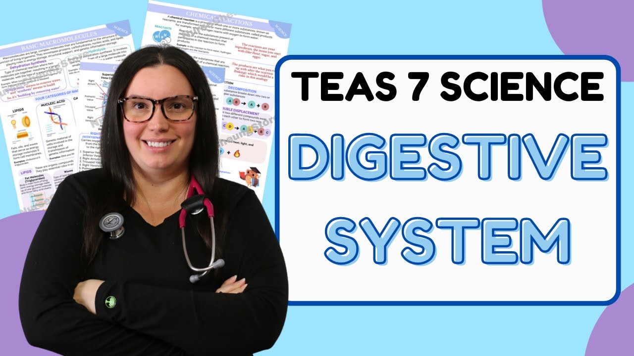 2025 ATI TEAS 7 Science Anatomy and Physiology Gastrointestinal System with Nurse Cheung