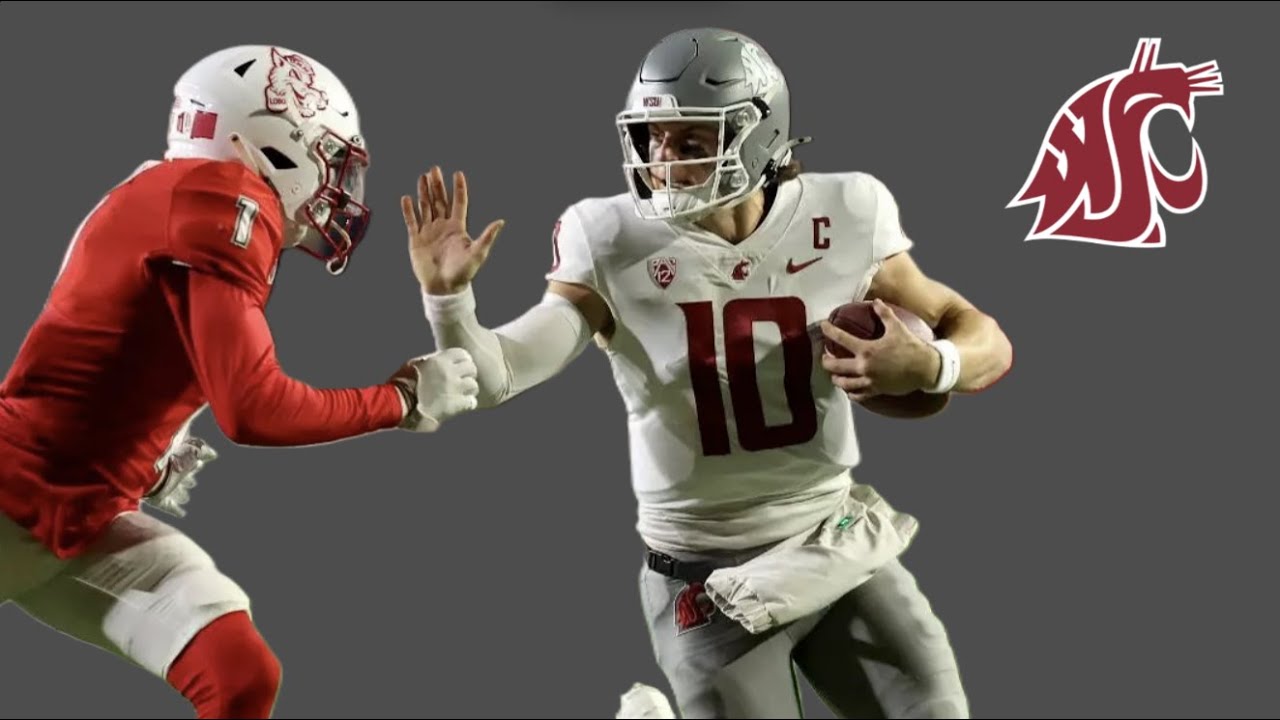 Washington State Offense vs New Mexico Defense - CFB Cutups Week 12 2024