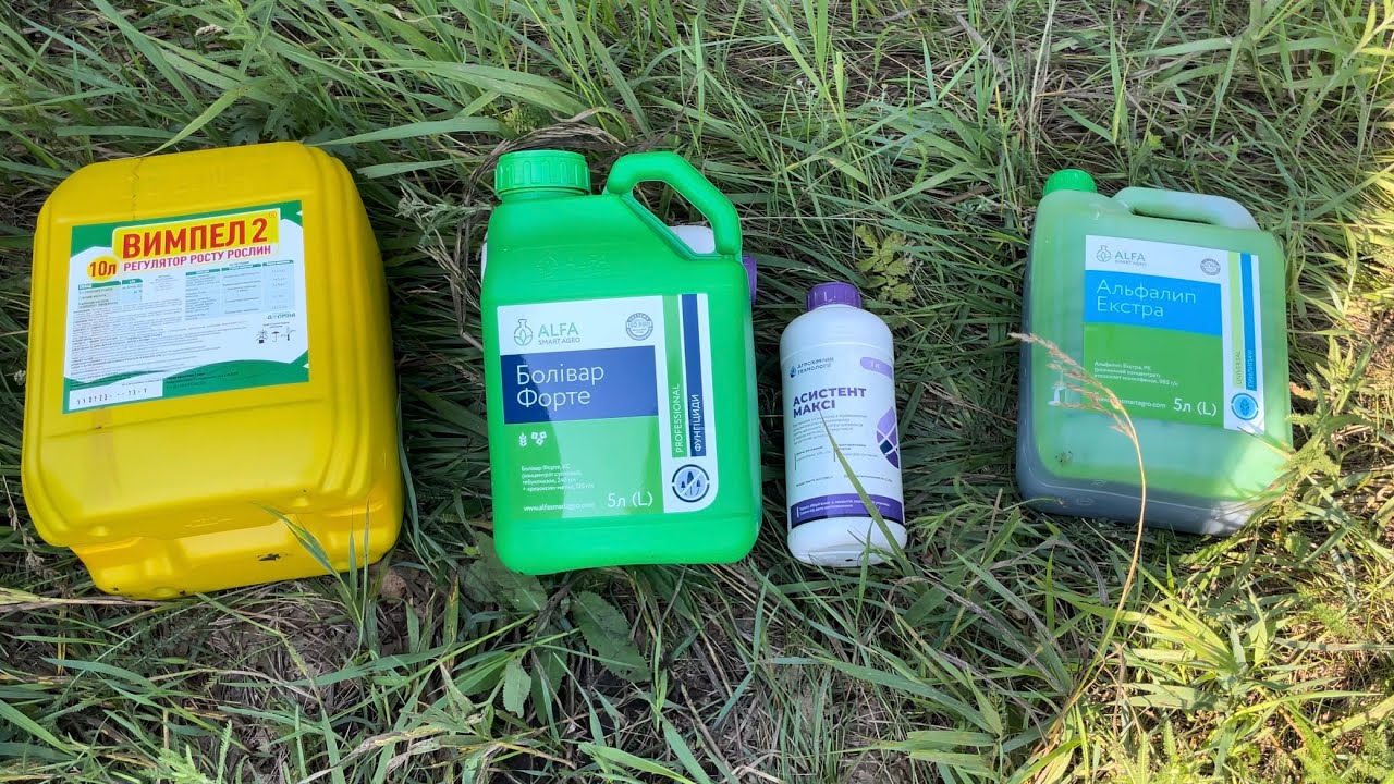 Фунгіцид на соняшник 🌻, обприскування соняшника Ароматік Lidea. Контроль хвороб ❗️