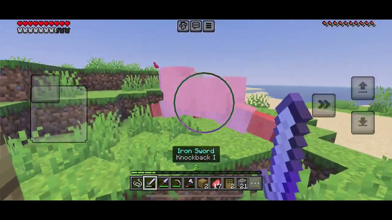 Igram Minecraft 