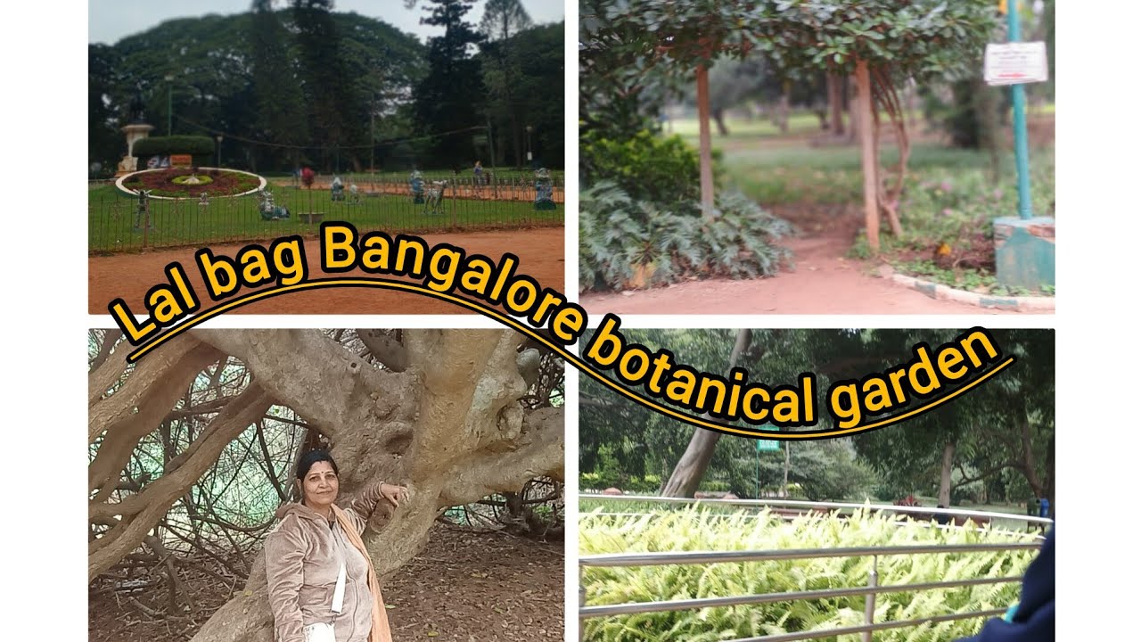 Bangalore day one Lalbagh vertical garden.