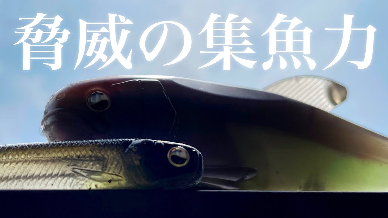 【バス釣り】どこに投げてもデカバスを連れてくる新作ルアー。【レイドジャパン】