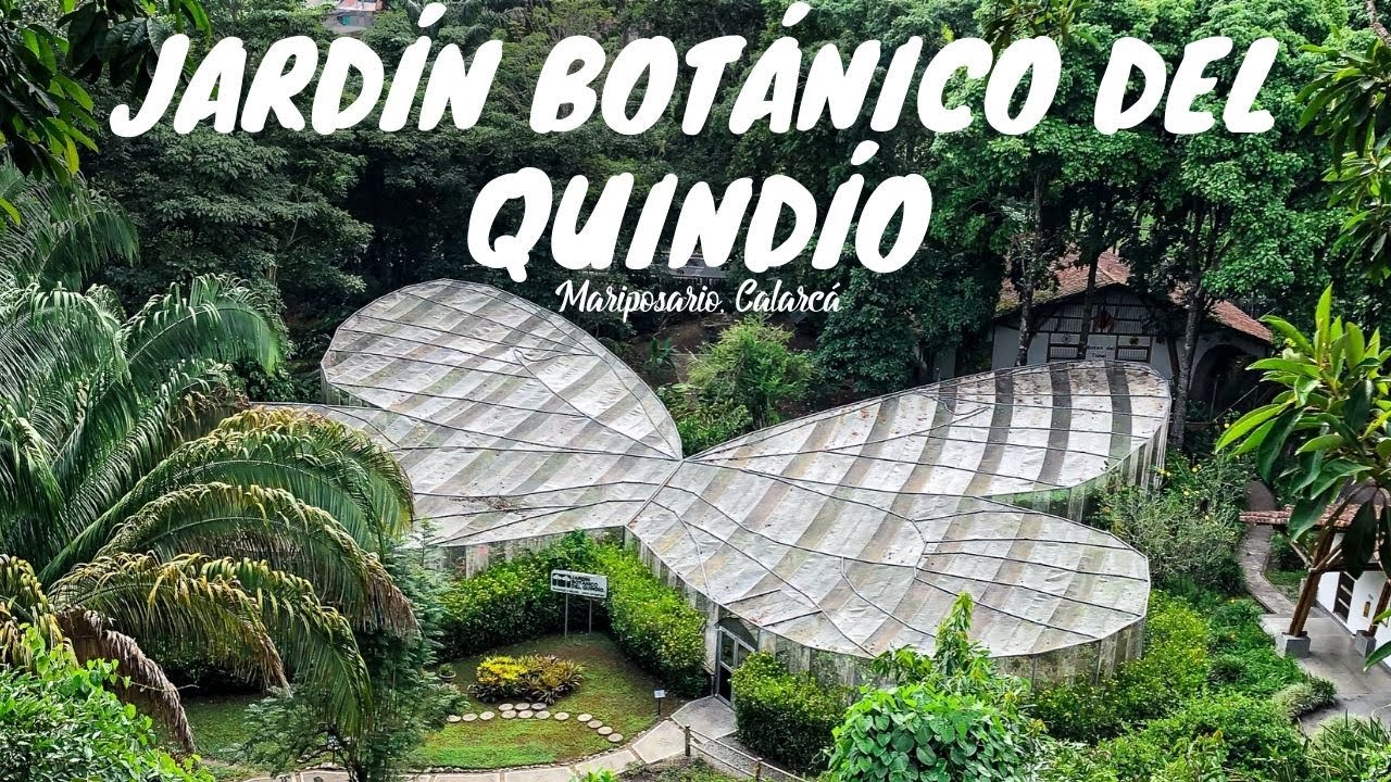 Jard&iacute;n Bot&aacute;nico Del Quind&iacute;o 🦋  | Mariposario Calarc&aacute;, Eje Cafetero Colombia