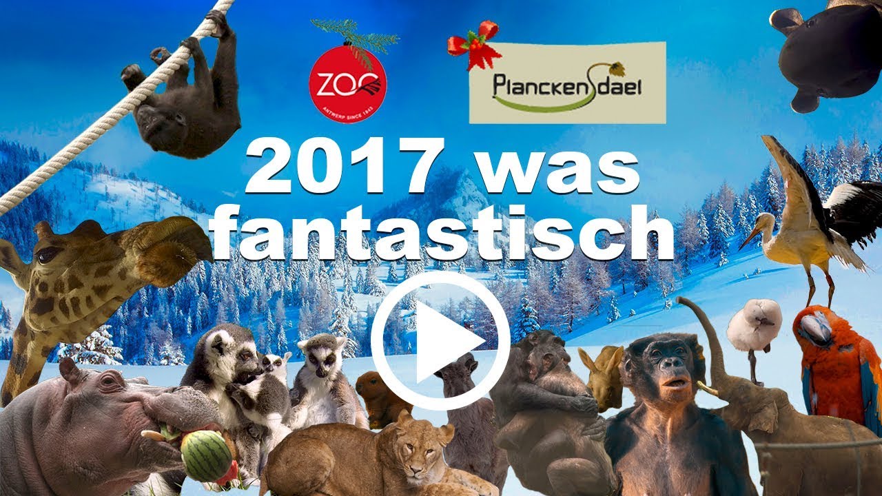 We wensen je fijne eindejaarsfeesten en een prachtig 2018!