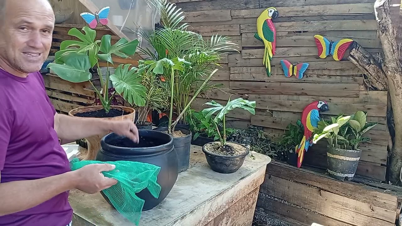 COMO FAZER MUDAS , RAPIDO E FACIL