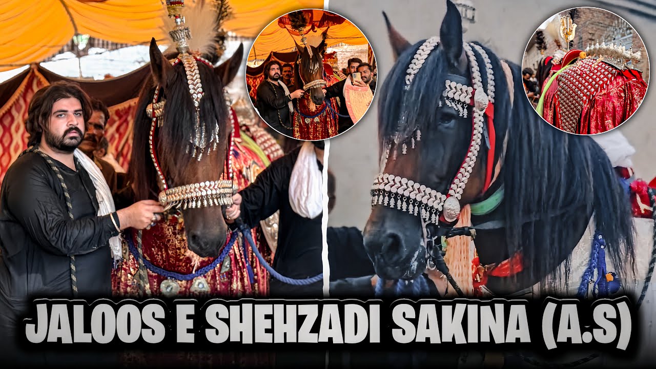 Jaloos A Shezadi Sakina a.s||Safar|#zuljanah#Chiniot