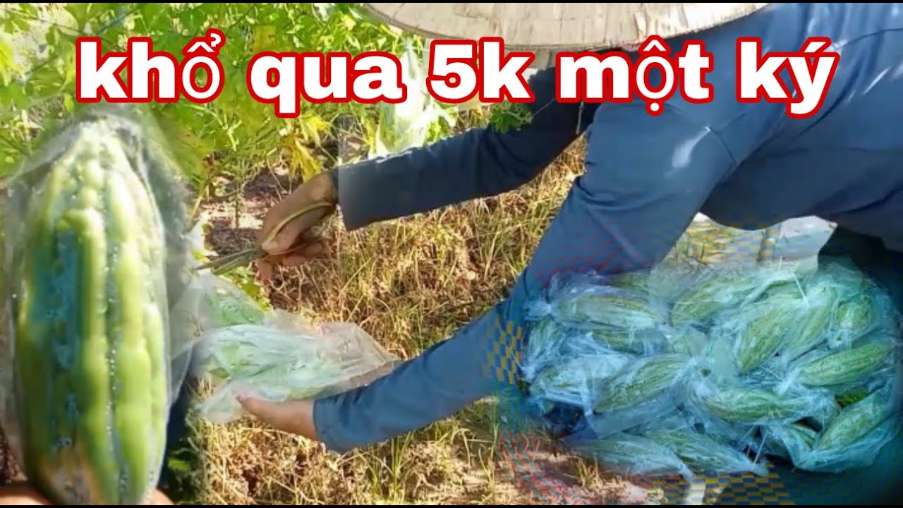 🫛Rau cải củ quả rẻ như bèo 5k một ký