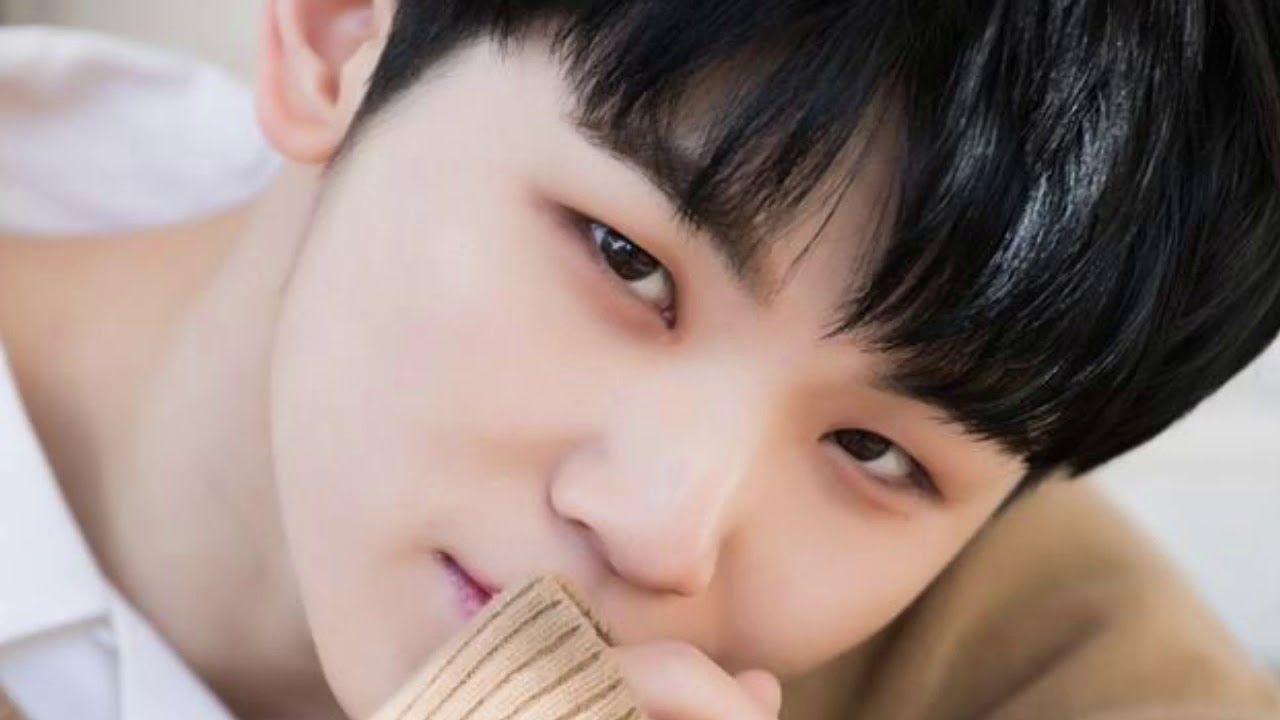 Woozi&rsquo;s Classic: A Soonhoon FMV