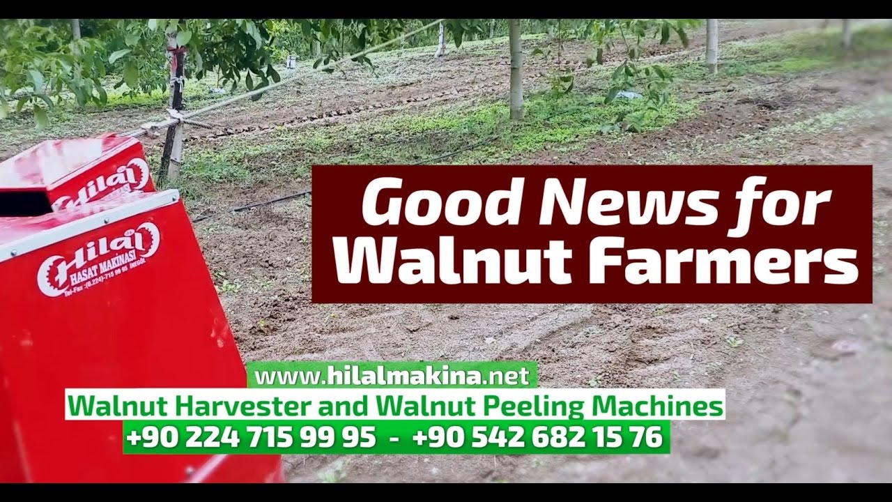 Walnut Harvester and Walnut Peeling Machines
