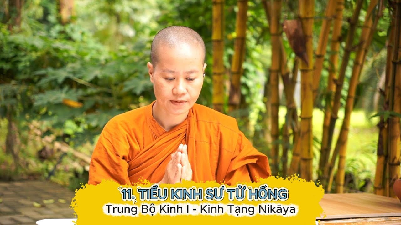 Bài 11. TIỂU KINH SƯ TỬ HỐNG - TRUNG BỘ KINH