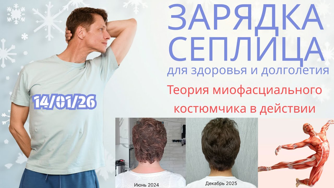 Утренняя зарядка Сеплица. 14.01.26 ТЕОРИЯ МИОФАСЦИАЛЬНОГО КОСТЮМЧИКА В ДЕЙСТВИИ. ПРИМЕР