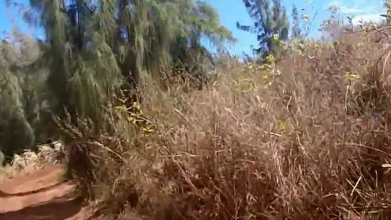 Kahuku Motocross Trail Riding with John DeSoto