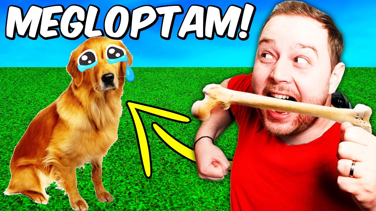 Ellopom a KUTYA CSONTJÁT! - DoggyAndi meg ne tudja!