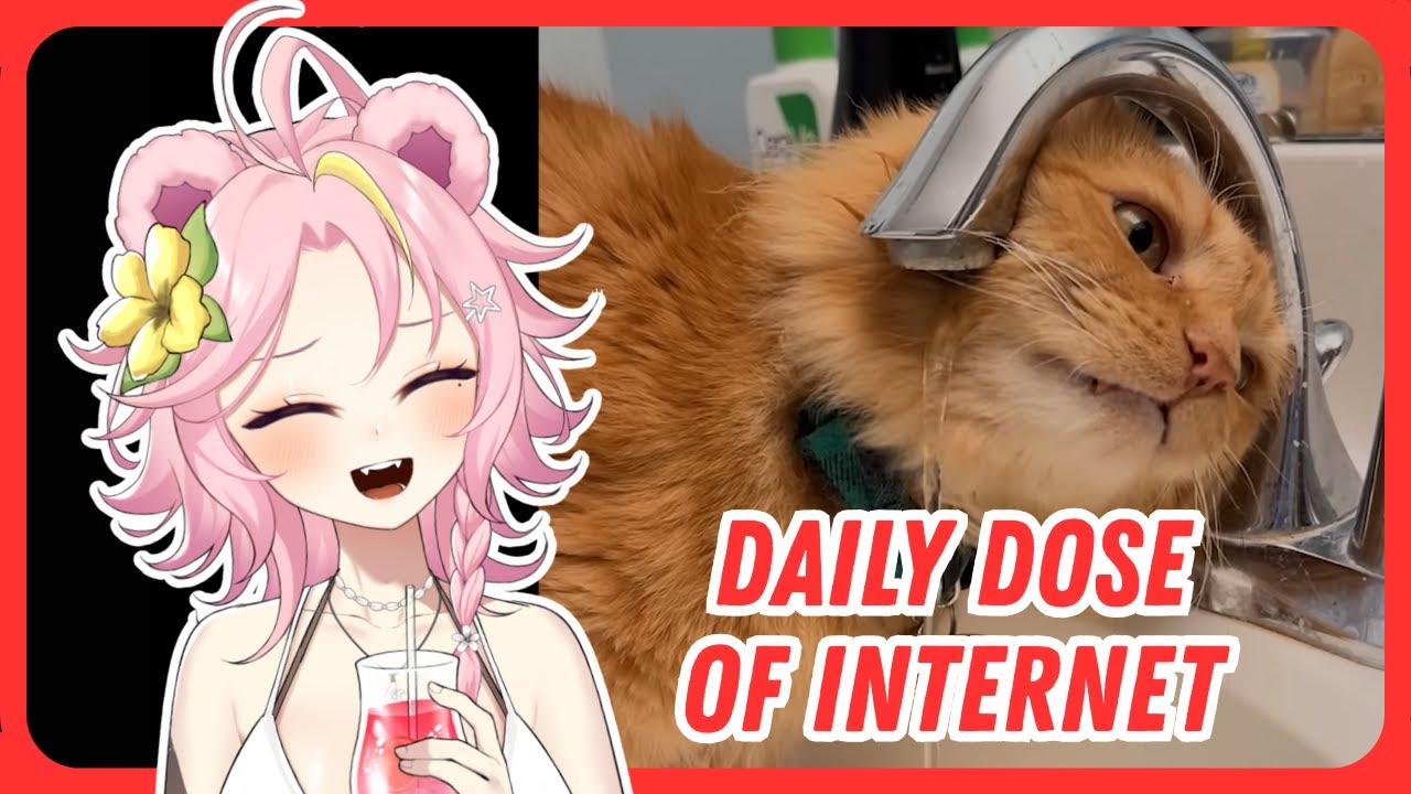 This Daily Dose of Internet Was WILD | Maddiekuma Reacts