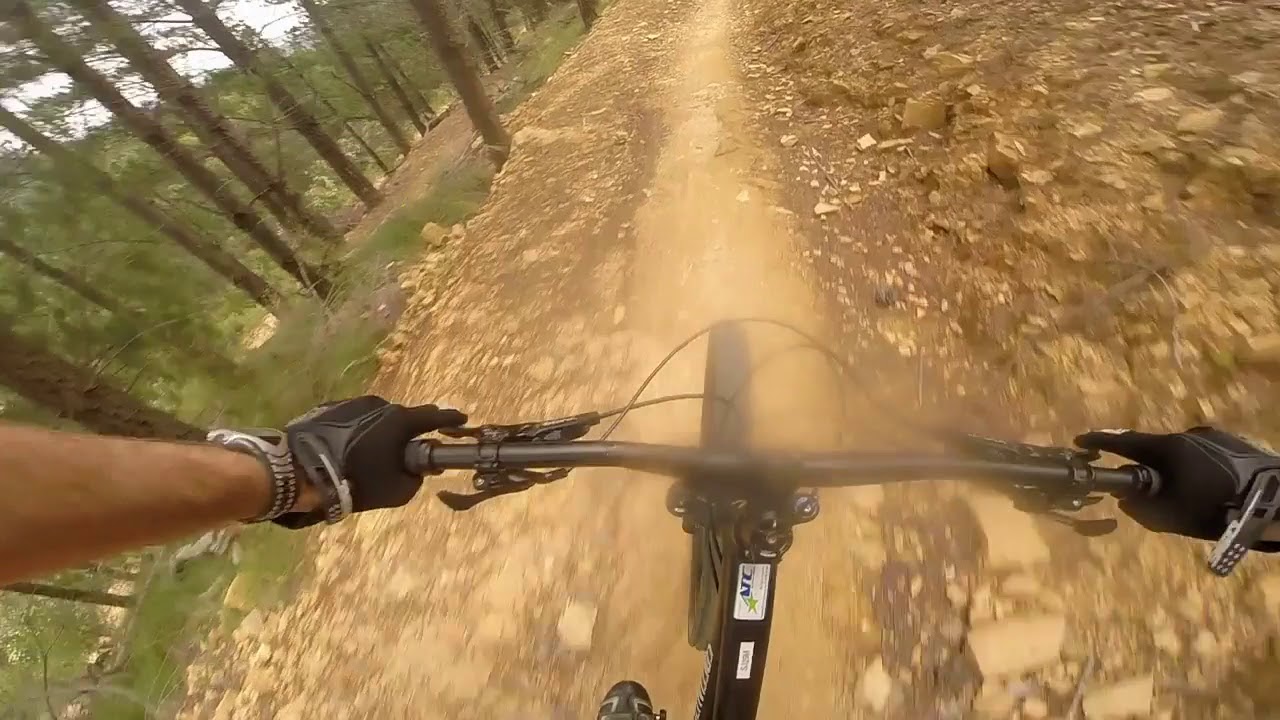 2017 Stumpjumper Comp 29er Review